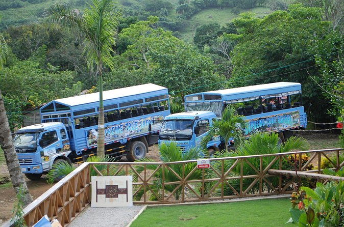 Half-Day Safari Tour from Punta Cana - Pickup, Safari Truck Vibes, and How the Open Bar Changes the Tone