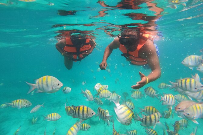 Half-Day Snorkeling Cruise and Natural Pool with Open Bar - Key things I’d lock in before you go