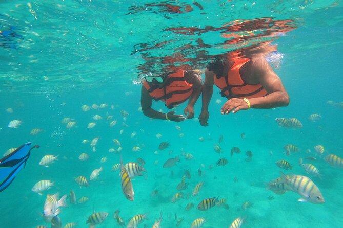 Half-Day Snorkeling Cruise and Natural Pool with Open Bar - Snorkeling on the reef: 30 minutes of coral, fish, and quick setup