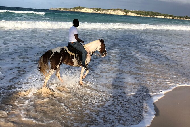 Half-Day Tour 2-in-1, Redonda Mountain & Horseback Riding Tour in Macao Beach - Weather matters more than you think