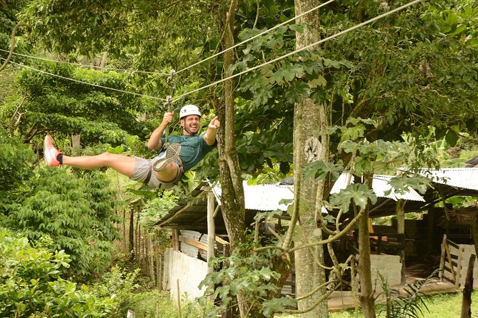 Half-day Zip Lining in Punta Cana - Price and Value: Is $59 Worth It?