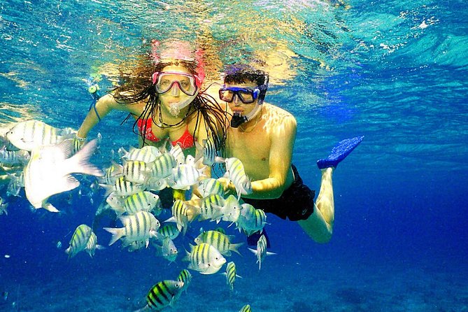 Happy Hour Party Boat With Snorkeling - What You Really Get: Open Bar, Snacks, and the Happy Hour Flow
