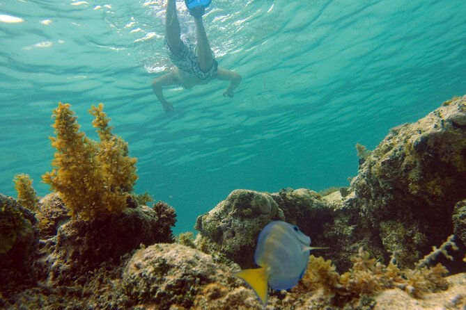 Happy Hour Party Boat With Snorkeling - What to Bring for a 3 to 8 Hour Sea Day