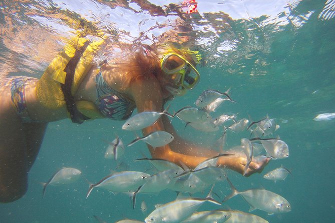 Happy Hour Sailing Cruise from Punta Cana - Marinarium Excursions base: crocodiles, turtles, and your boarding pass