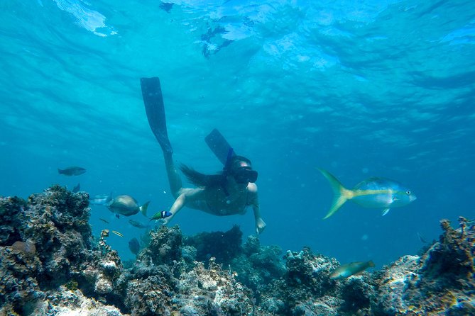 Happy Hour Sailing Cruise from Punta Cana - Cruise along Punta Cana’s coastline: the part you’ll remember most
