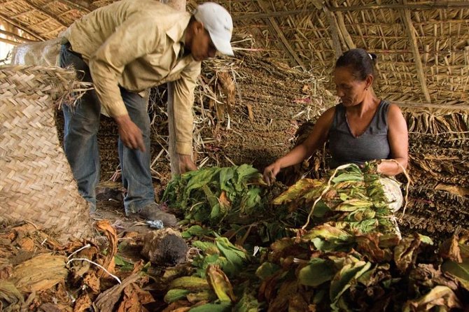 Higuey City Tour - A Cultural Experience From Punta Cana - What You Get Included, and What You’ll Pay Separately