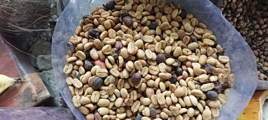 Higuey discovery, coffee and cocoa tasting from punta cana - Quick highlights