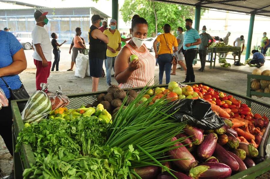 Higuey discovery, coffee and cocoa tasting from punta cana - Anamuya River: buffet lunch with swim or hike choices