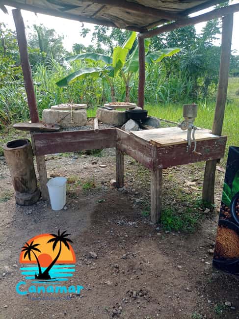 Higuey discovery, coffee and cocoa tasting from punta cana - Coffee and cacao tasting, then cigar rolling: how the flavors connect