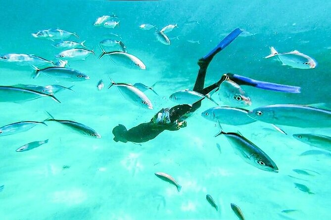Hip Hop solo para adultos PartyBoat con Bebidas ilimitadas y Bar - Snorkeling Reality Check: Equipment Included, Time May Be Short