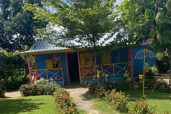 Horse Back Riding Adventure in Punta Cana - From Ranch to Road: The Safety Start That Makes It Feel Easy