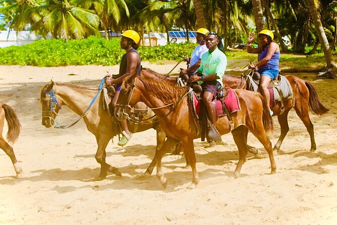 Horse Back Riding Adventure in Punta Cana - Learning Your Horse: Why This Named Pairing Is a Big Deal