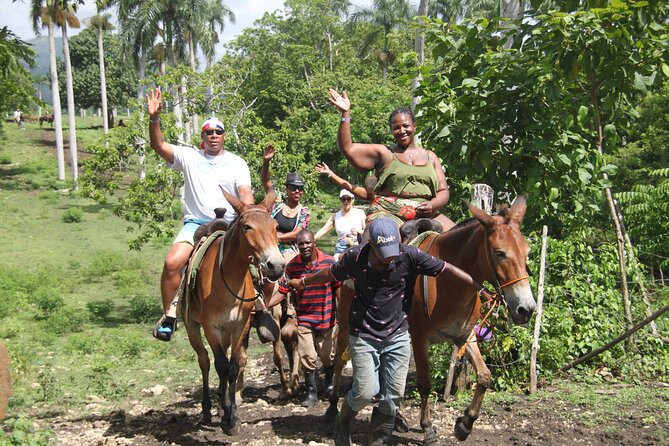Horse back riding (Punta Cana/Bavaro) - Your Ride: Woods, Horses, and the Beach Segment