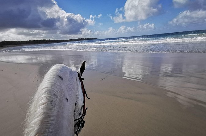 Horse Riding Experience through El Limon Beach - Price and value: what $150 gets you in the real world
