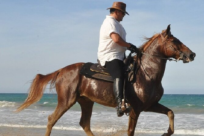 Horse Riding Experience through El Limon Beach - Who should book this horseback ride from Punta Cana