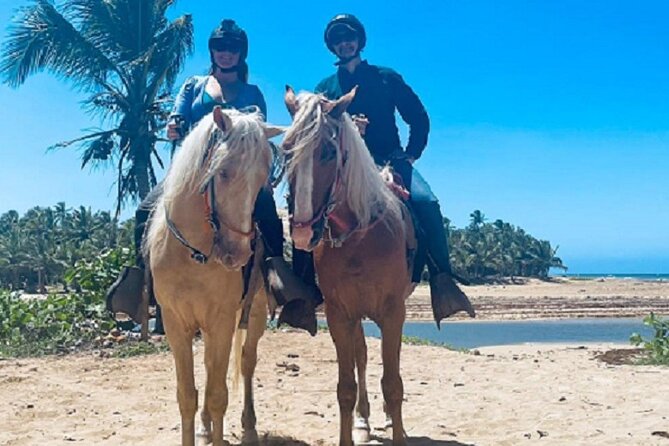 Horse Riding Experience through El Limon Beach - The route to El Limon Beach: village life, cattle farms, and wetlands