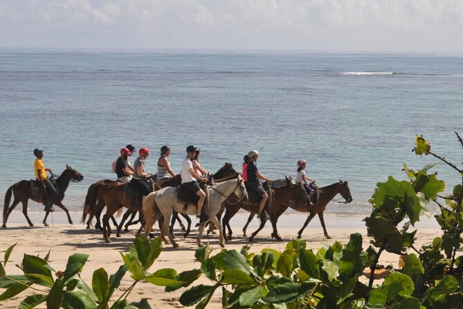 Horseback Riding Adventure Punta Cana - Guides and service style: what you can expect from Rancho Victoria Caribeño