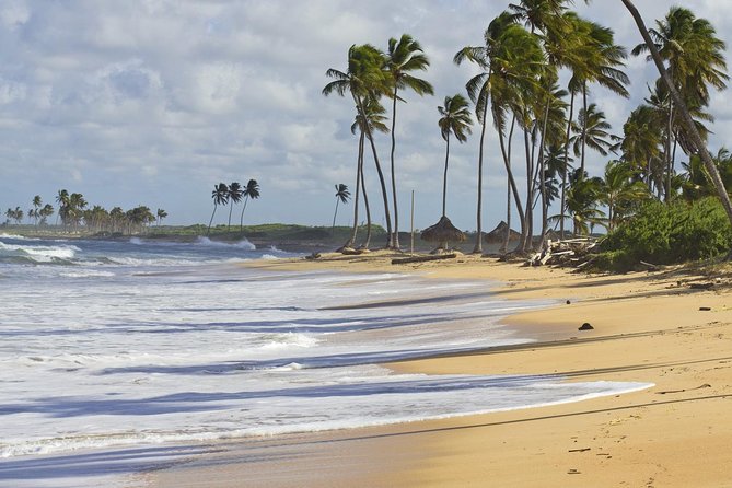 Horseback Riding Adventure Punta Cana - Price and value check: is $40 fair for what you get?