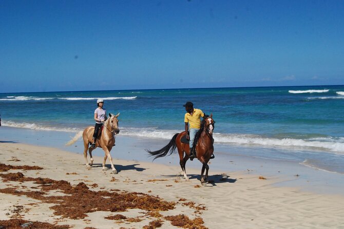 Horseback Riding Adventure Punta Cana - Who should book, and who should skip this ride