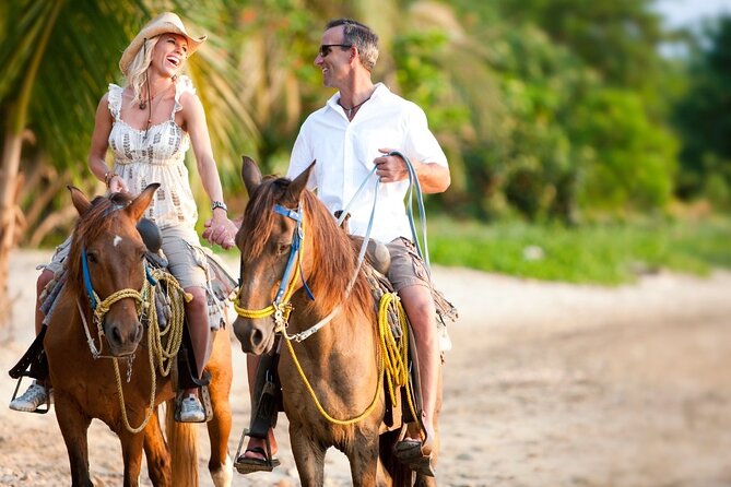 Horseback Riding Adventure to Macao Alto Beaches in Punta Cana - Key highlights to know before you go