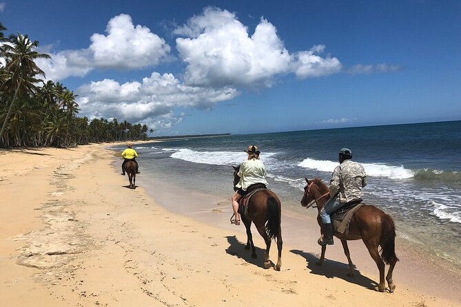 Horseback Riding Adventure to Macao Alto Beaches in Punta Cana - Ranch Prep and Safety Equipment: How Beginners Are Handled
