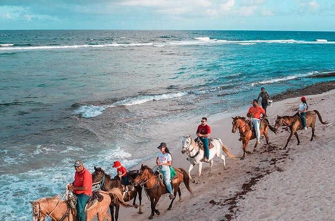Horseback Riding Adventure to Macao Alto Beaches in Punta Cana - Macao vs Uvero Alto: What You Can Expect When You Reach the Beach