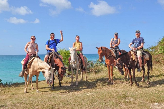 Horseback riding along Macao beach from Punta Cana - On the beach: what walk vs gallop really changes