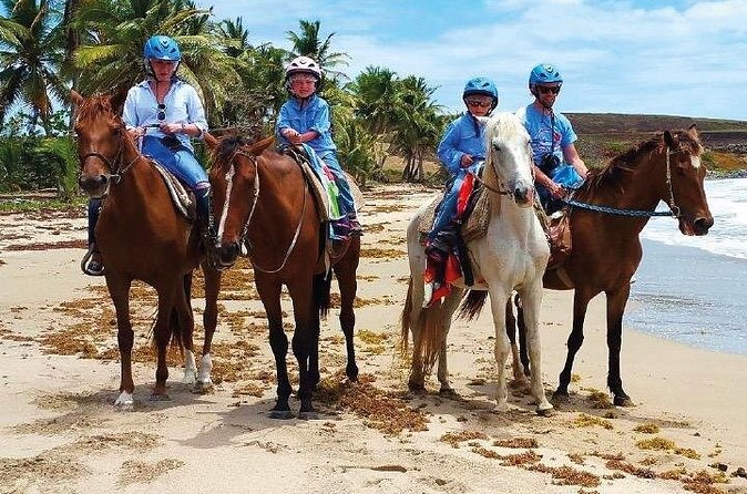 Horseback Riding along the Beach - Safety and peace of mind, why the crew matters here