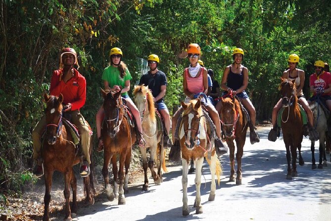 Horseback Riding along the Beach - Price and value: $60 that includes transport and admission