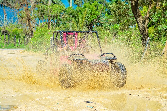 Horseback Riding and Buggy and Macau Cave and Beach Tour - Price and logistics: why $65 feels fair for this mix