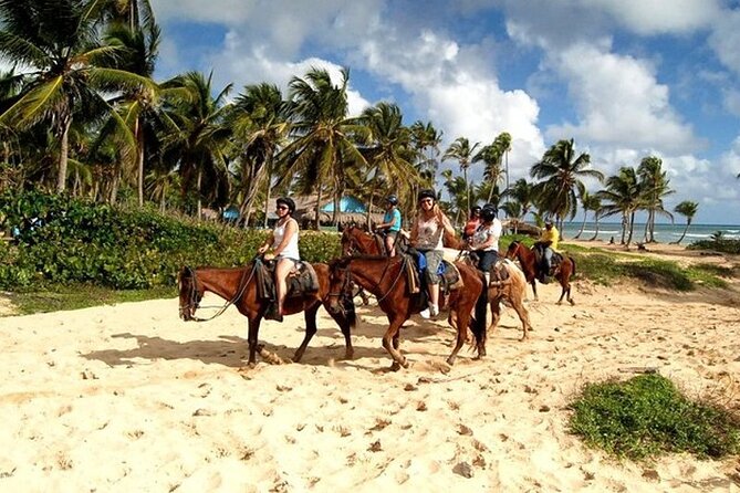 Horseback Riding at Macao Beach - Key Points You Can Actually Use