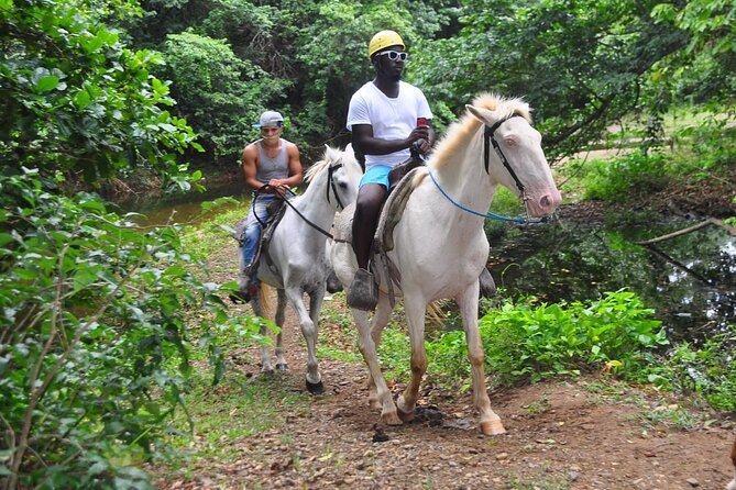 Horseback Riding at Macao Beach - Safety Briefing and Horse Handling for First Timers