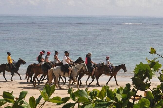 Horseback Riding at Macao Beach - Cigar and Mamajuana Tastings That Actually Add Culture