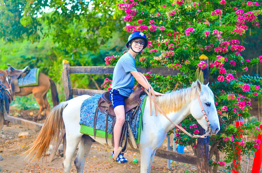 Horseback Riding at Macao Beach and River with Transfers - Horses, Guides, and Safety That Feel Practical