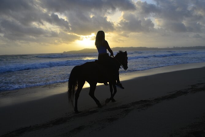 Horseback Riding at Sunrise on the Beach of Punta Cana - Key highlights