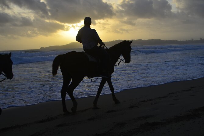 Horseback Riding at Sunrise on the Beach of Punta Cana - Your 1 hour 30 minutes on the sand, step by step