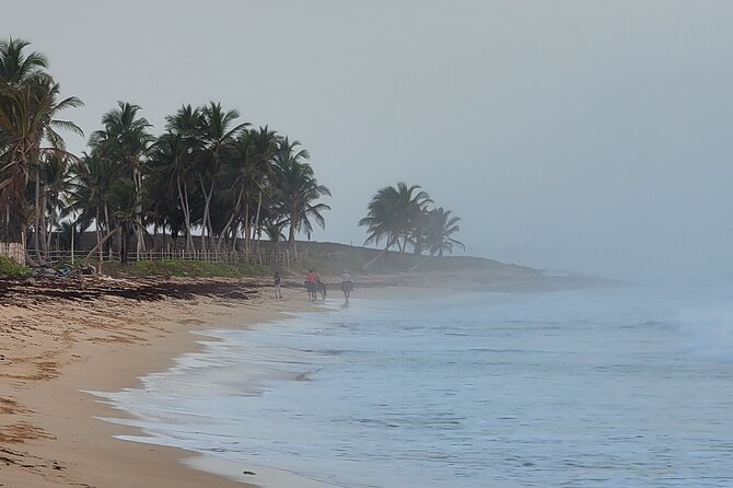 Horseback Riding at Sunrise on the Beach of Punta Cana - What to bring (and what not to assume)