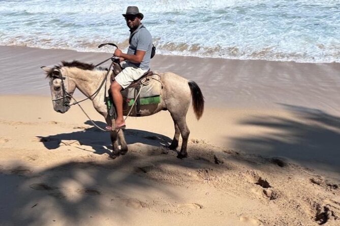 Horseback Riding Experience in Punta Cana - What the 2-hour schedule really means on the ground