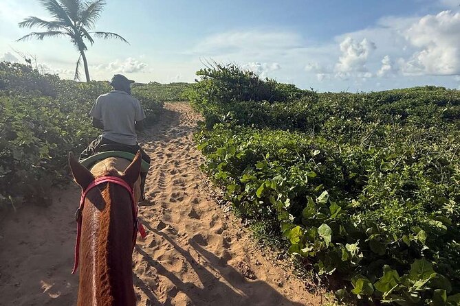 Horseback riding in punta cana beach and Bayahibe - Pace, attention, and romance factor for couples