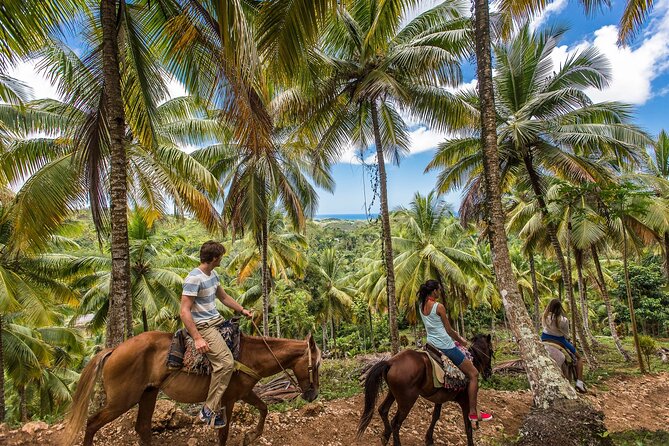 Horseback Riding in the Dominican Jungle - Quick take: what matters most