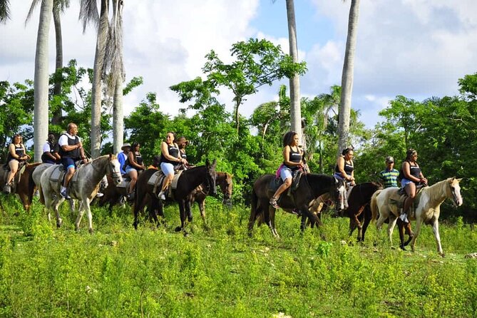 Horseback Riding in the Dominican Jungle - Guides, crew, and small-group energy