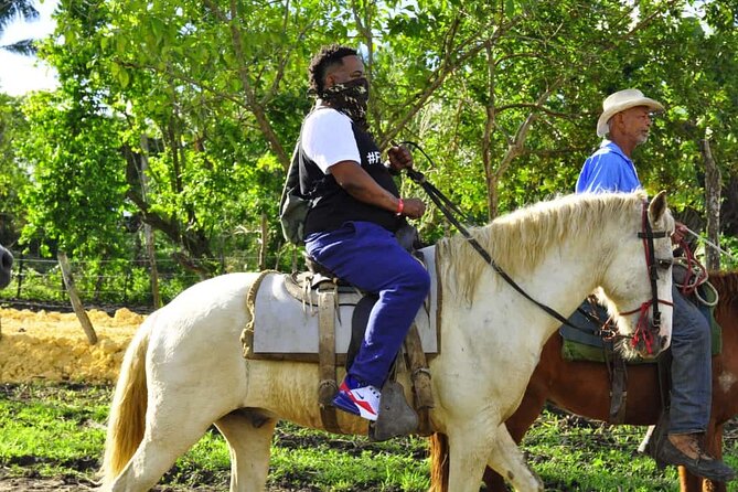 Horseback Riding in the Dominican Jungle - Price and value: $69.99 makes sense when you use the inclusions