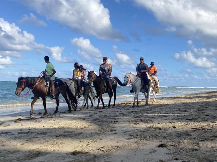 Horseback Riding Macao Beach Experience Paradise onHorseback - Hotel pickup in Punta Cana or Bávaro, with a reality check on timing