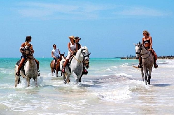 Horseback Riding on the Beach in Punta Cana (One Hour) - Optional Swim Time: The Fun Part, With Real-World Conditions