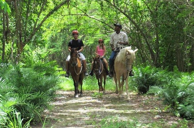Horseback Riding on the Beach in Punta Cana (One Hour) - Small Group Size, Real-Life Review Signals, and How to Reduce Risk