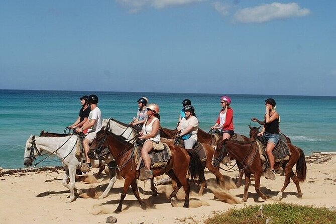 Horseback Riding on the Beaches of Punta Cana - Key things to know before you ride