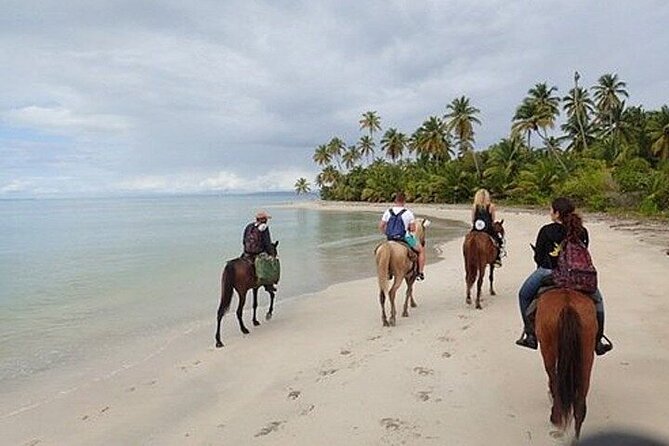 Horseback Riding on the Beaches of Punta Cana - Quiet, Family-Friendly, and Sometimes Romantic