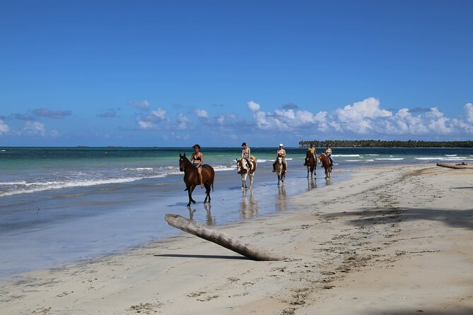 Horseback Riding on the Beaches of Punta Cana - FAQ