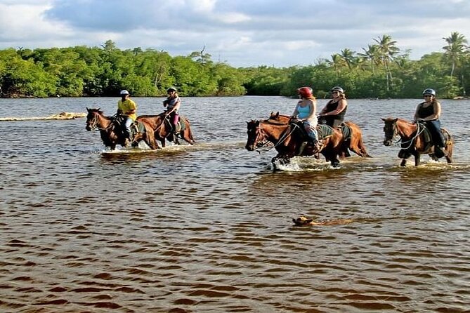 Horseback Riding to Maimon River from Punta Cana - From Punta Cana to the Ranch: the rhythm of a 3-hour ride
