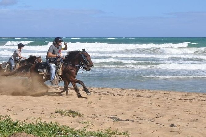 Horseback Riding to Maimon River from Punta Cana - The trail: beaches, countryside, forest, and the best viewpoints